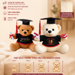 GẤU TEDDY TỐT NGHIỆP THÊU LOGO TRƯỜNG