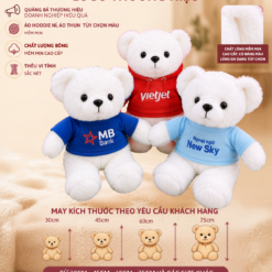 GẤU TEDDY NHIỀU MÀU ÁO THÊU LOGO THƯƠNG HIỆU DOANH NGHIỆP, TỔ CHỨC SỰ KIỆN